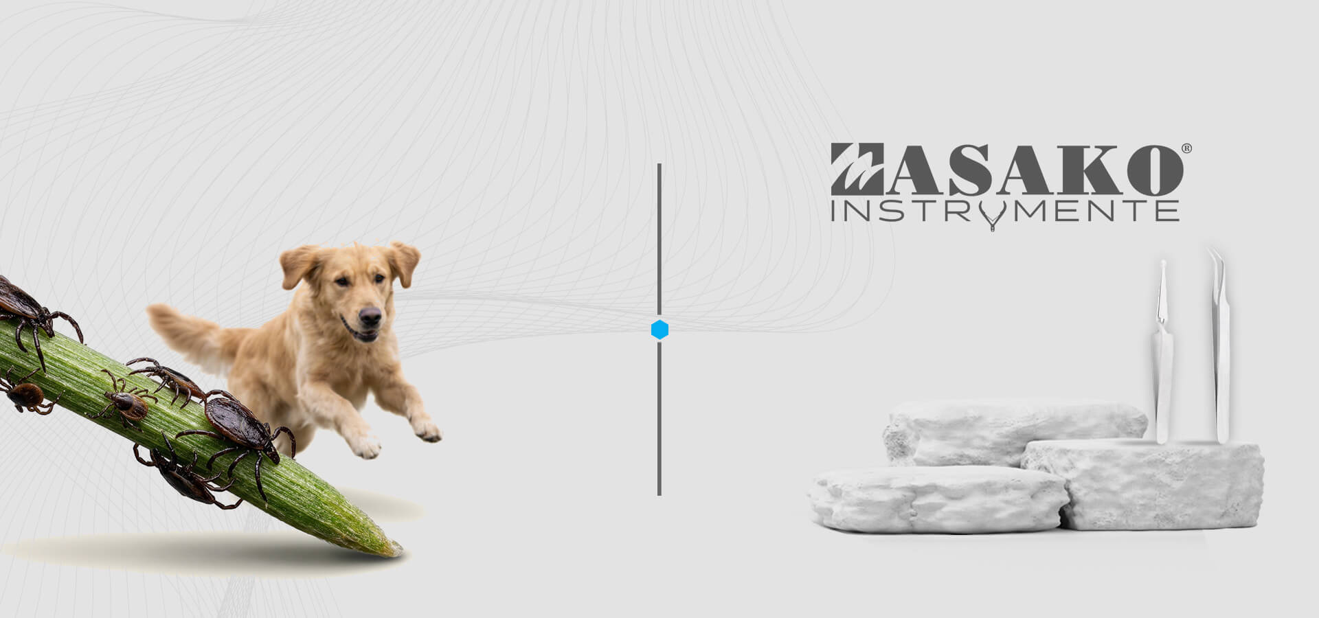 slider image slider_item_8eVwVR